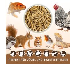 5 kg Soldatenfliegen getrocknet – Insektensnack...
