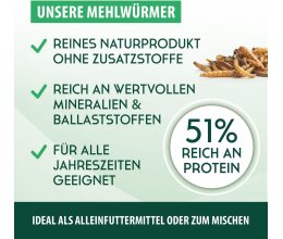 1kg/5,6l  Mehlwürmer getrocknet – Insektensnack Vögel Nager, Koi, Schildkröten-Reptilien