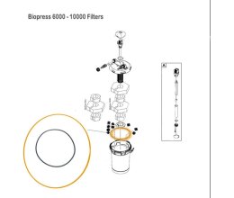 Dichtring OaseTopffilter O-Ring NBR 304 x 7 SH40