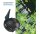 Aquaforte Teichpumpe EC 6500 Filter/Teichpumpe 38 Watt