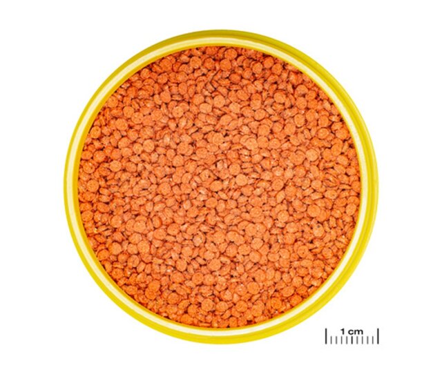 JBL PRONOVO BITS GRANO 1000 ml