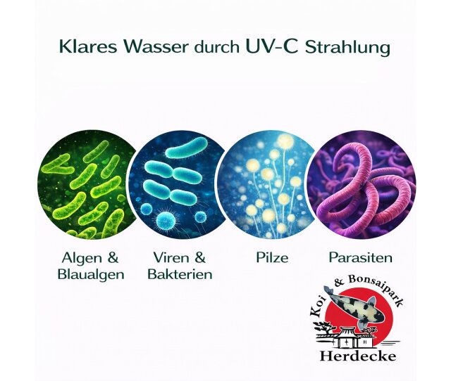 55 Watt Amalgam UVC Ersatzleuchtmittel passed für EVO Blue Light System