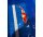 Japan Koi Doitsu Showa ca. 40 cm – Rot Weiss Schwarz
